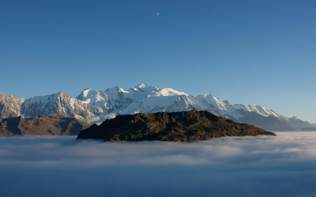 Un site web pour le Fonds de dotation Savoie Mont-Blanc Biodiversité