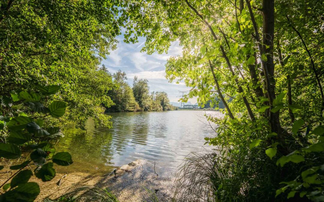 Animation Natura 2000