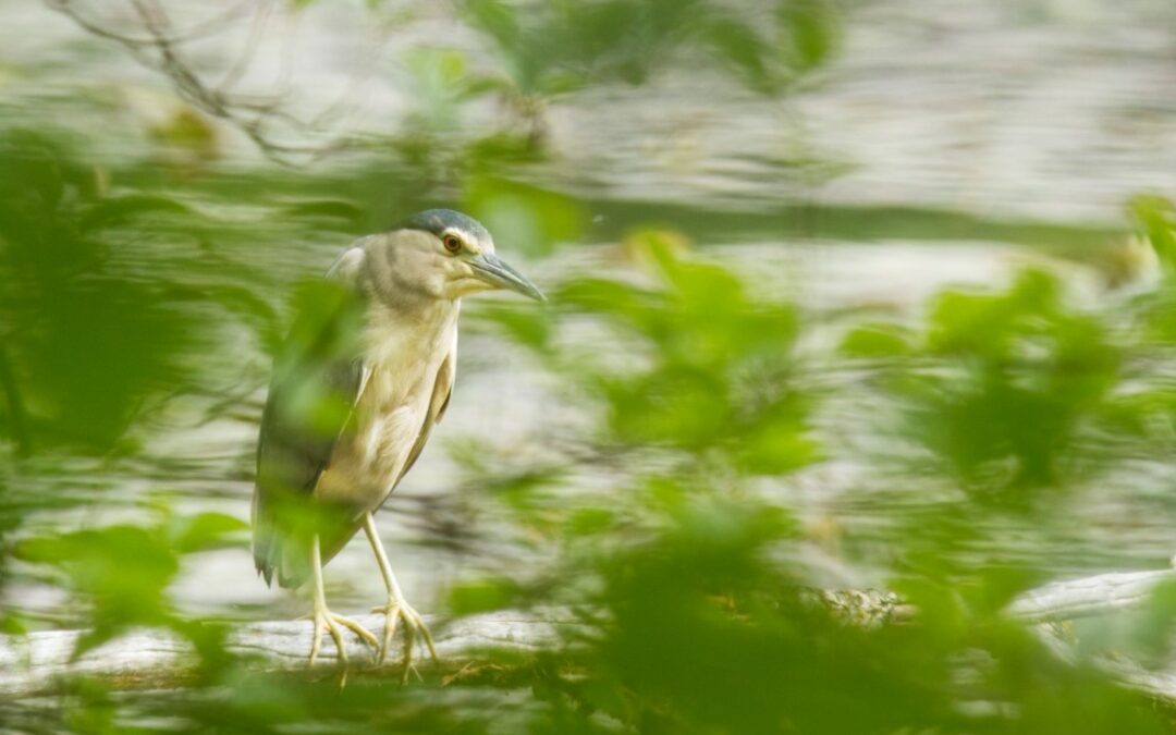 Masterclass photographie sur la plaine des Hurtières