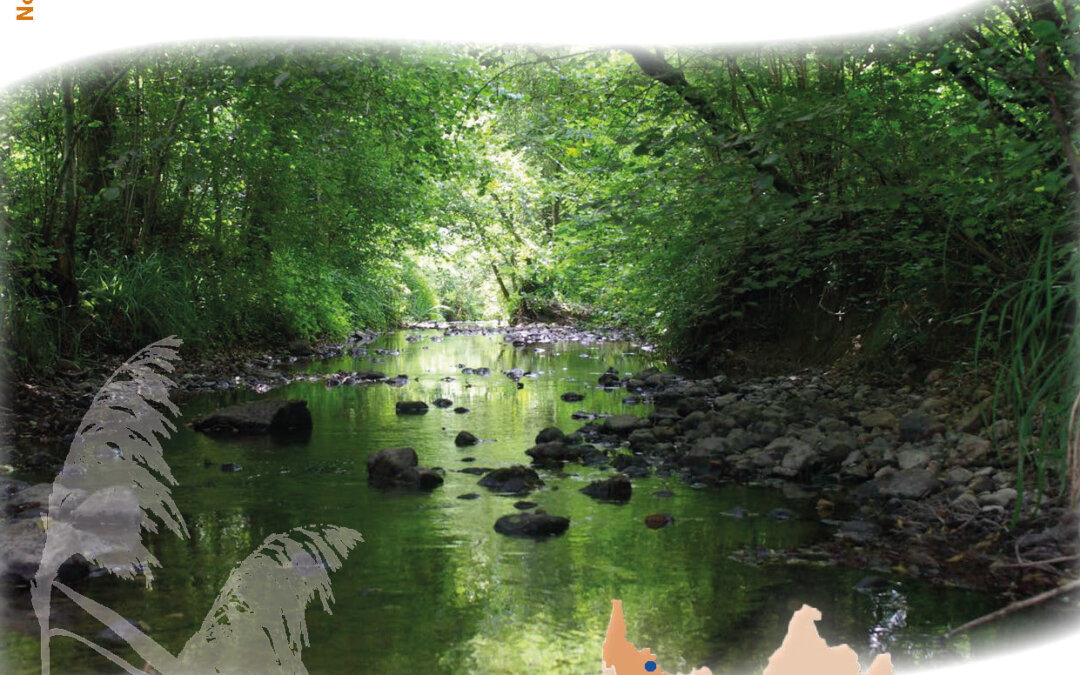 Synthèse du plan de gestion – Zones humides le long de la Deysse