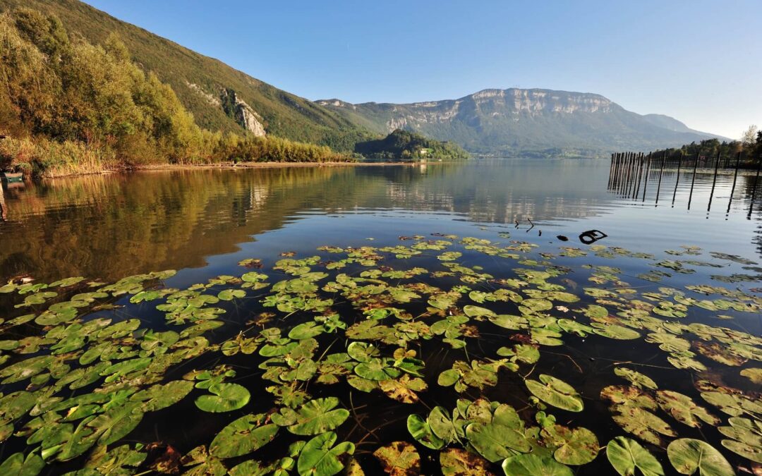 Réserve naturelle régionale (RNR) du lac d’Aiguebelette