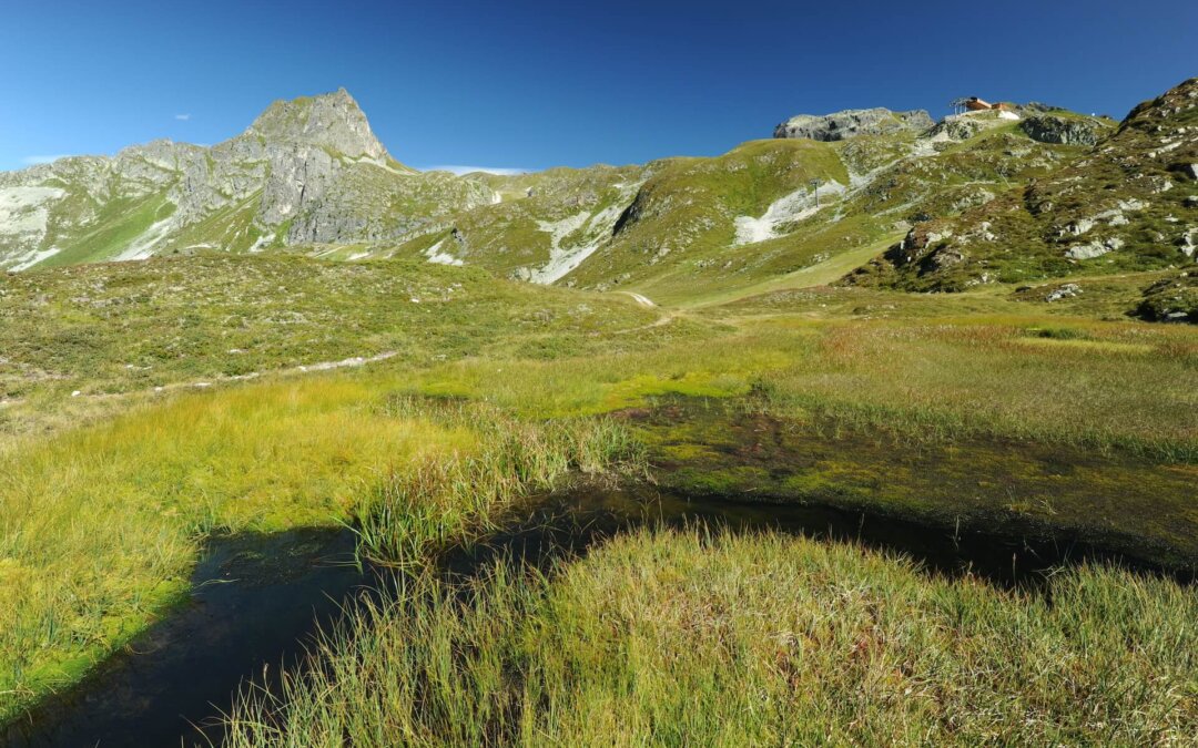 Observatoire de la biodiversité de Savoie