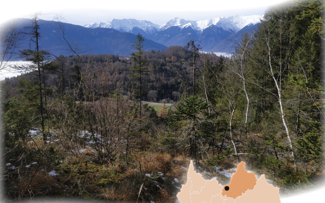 Synthèse du plan de gestion – Tufière des sources du Bontey