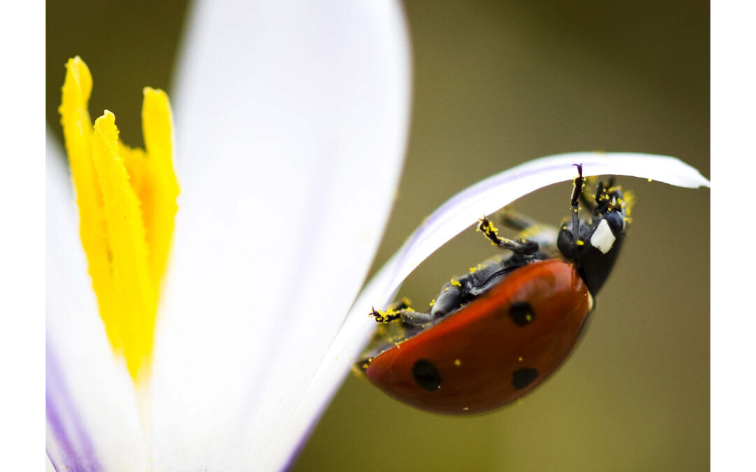 Rapport d’activités 2022