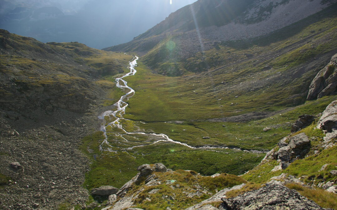 Rencontres territoriales 2025, les zones humides de montagne