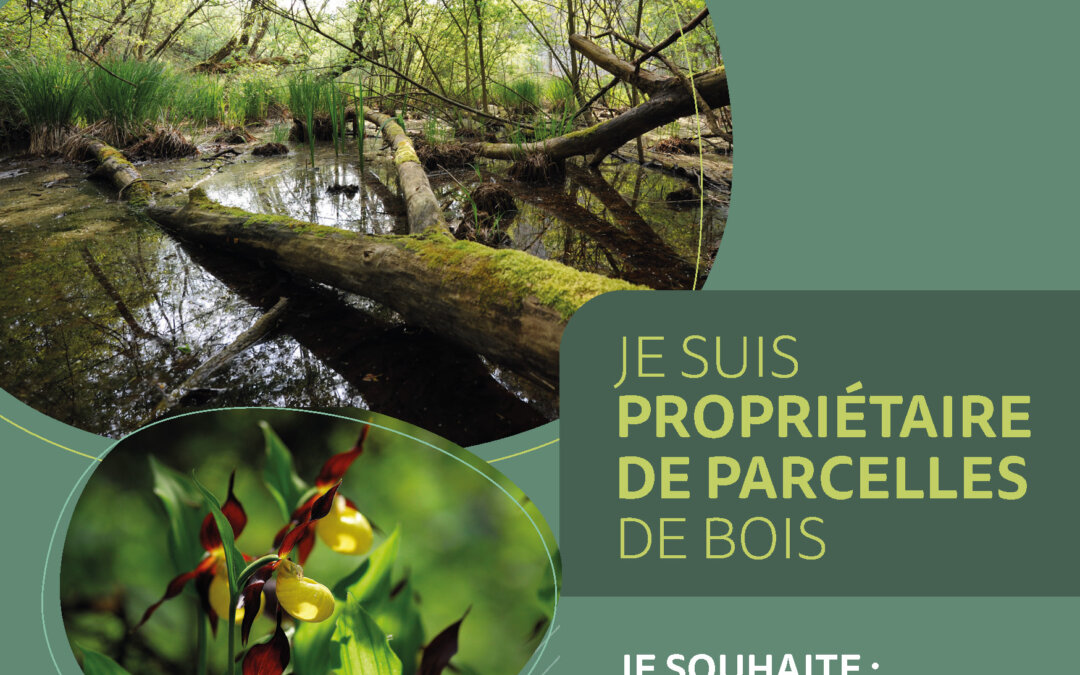 Plaquette foncier, sur la libre évolution des boisements