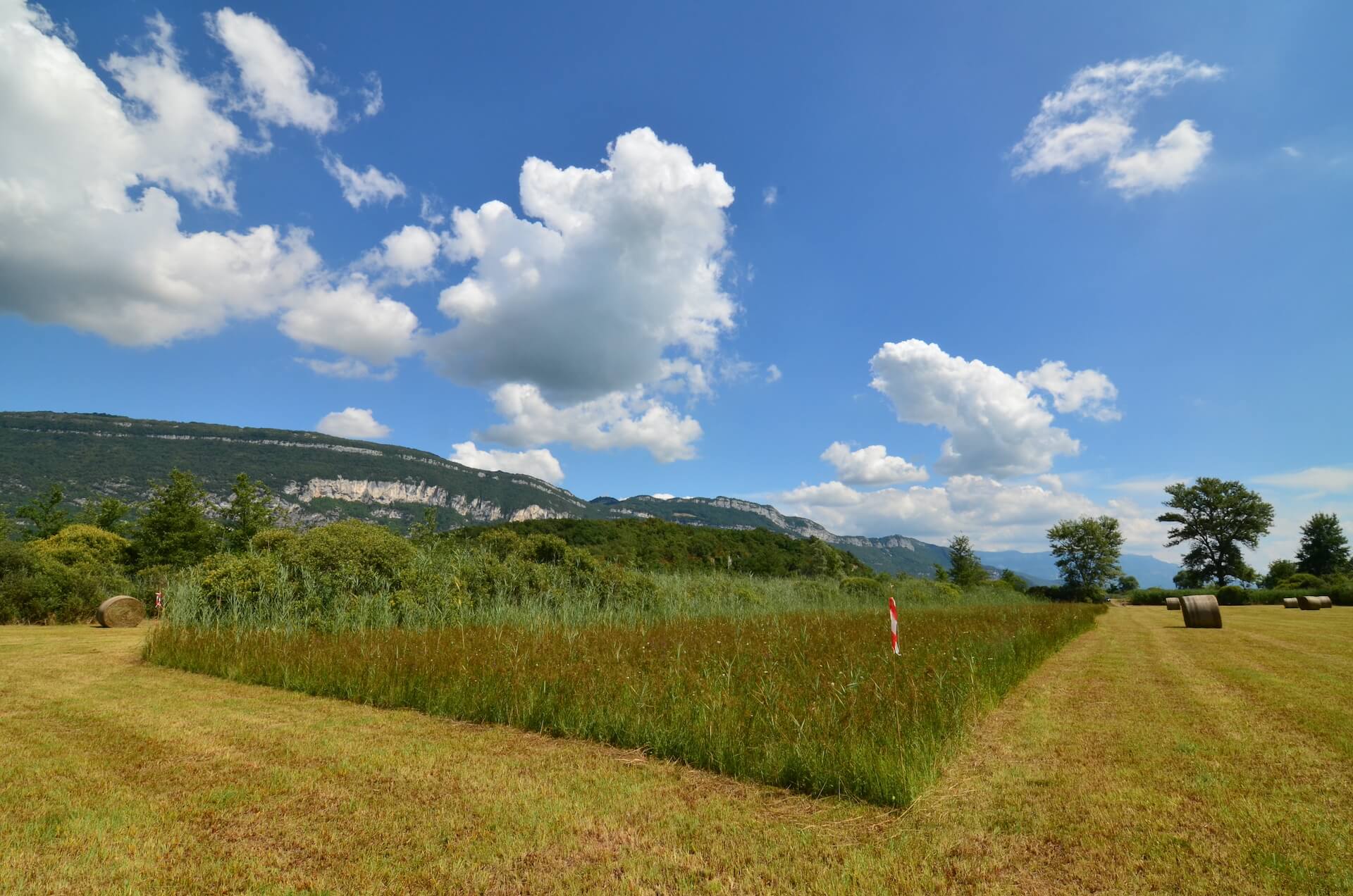 AB_bande-refuge-pre-crottis