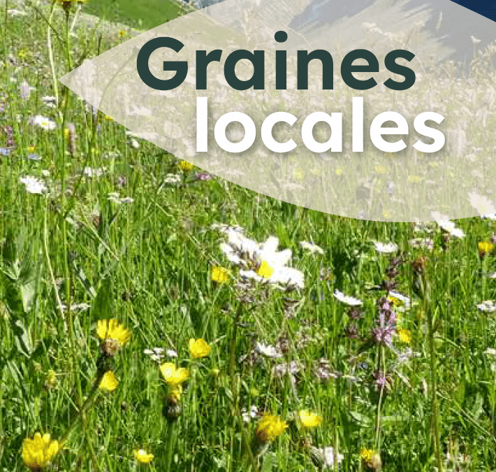 Mars 2025 : plaquette sur les semences locales