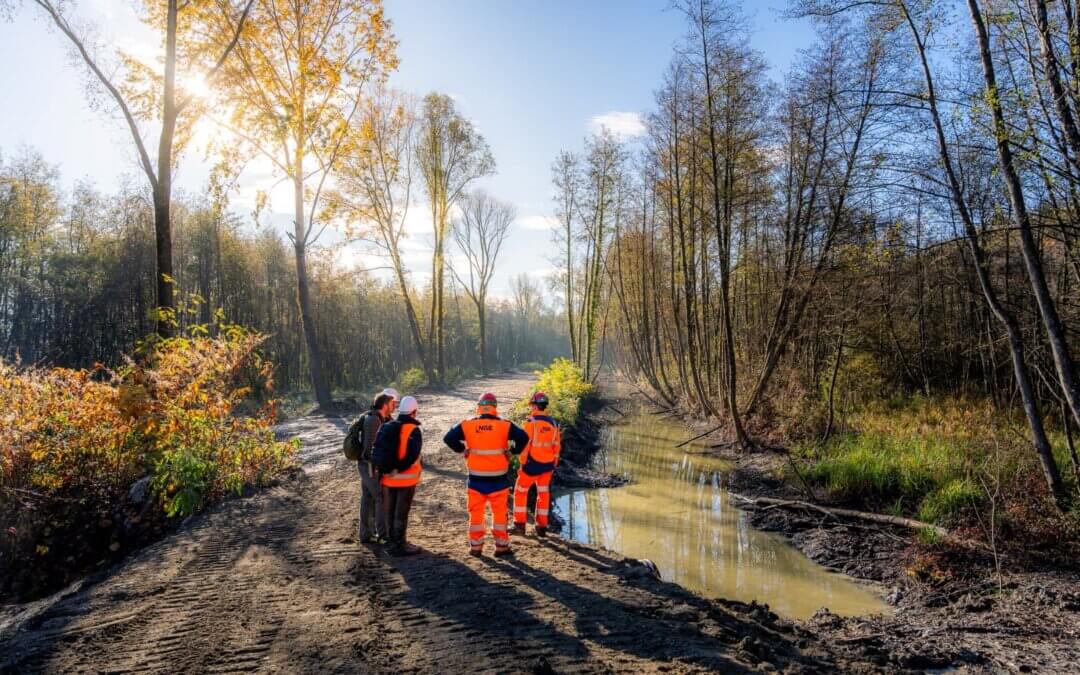 Début de la phase 2 pour le chantier de renaturation de la fontaine des Janon