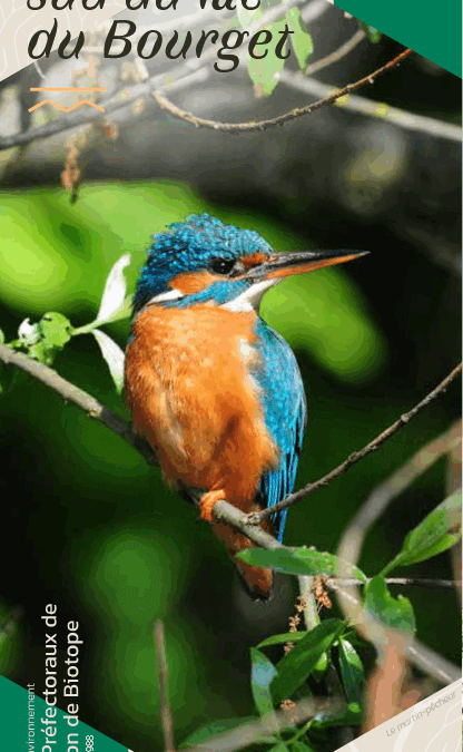Plaquette APPB : rives sud du lac du Bourget