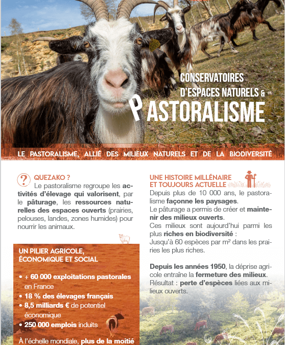 Plaquette pastoralisme – FCEN 2026